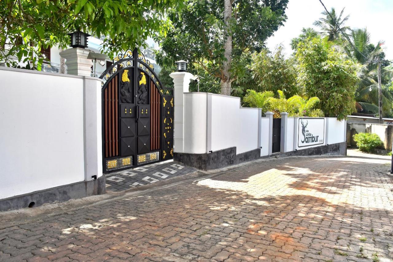 Villa De White Sambur Hikkaduwa Luaran gambar